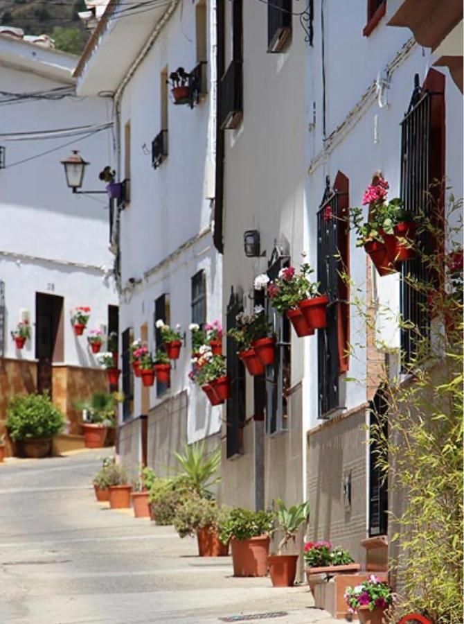 Mirasierrahome... Tu Hogar De Vacaciones! Alora Exteriör bild